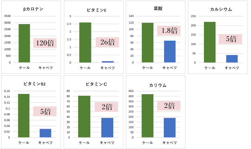 ケールとキャベツの栄養価比較表