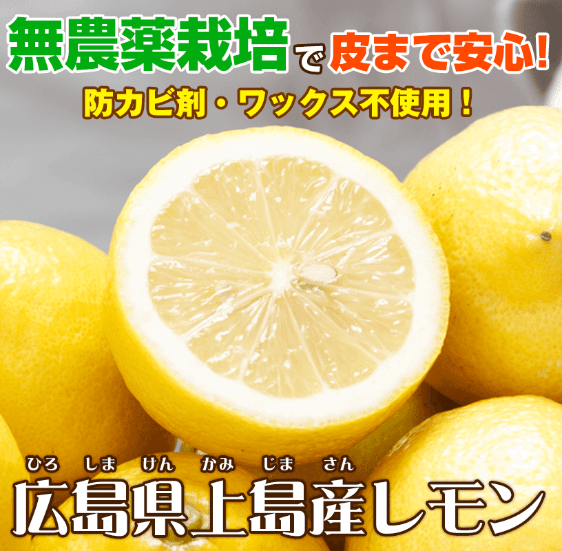 限定♪広島産 農薬も肥料も与えず自然に育った大きなまん丸レモン１キロ